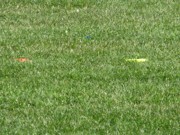 OTFL Gallery Image